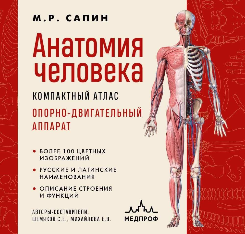 Анатомія людини. Компактний атлас. Опорно-руховий апарат. Сапін М. (великий формат)