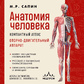 Анатомія людини. Компактний атлас. Опорно-руховий апарат. Сапін М. (великий формат)