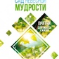 Сад Небесної Мудрості. Притчі для бізнесу та життя. Майкл Роуч