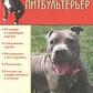 Пітбультер'єр. Жалпанова Л.Ж.