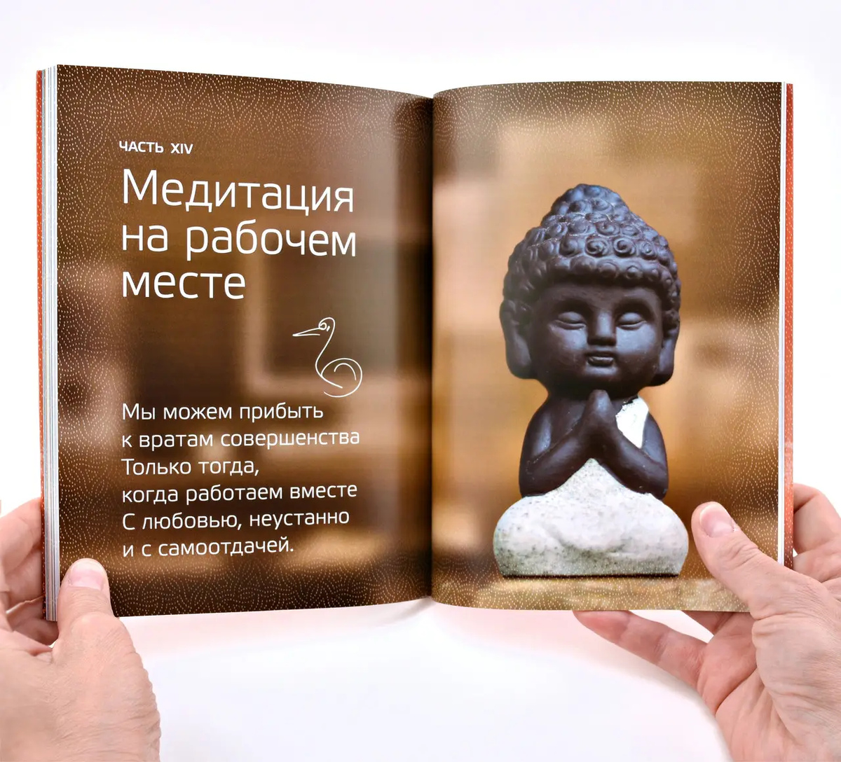 Книга Пригода життя. Про йогу, медитацію і мистецтво жити. Шрі Чинмой