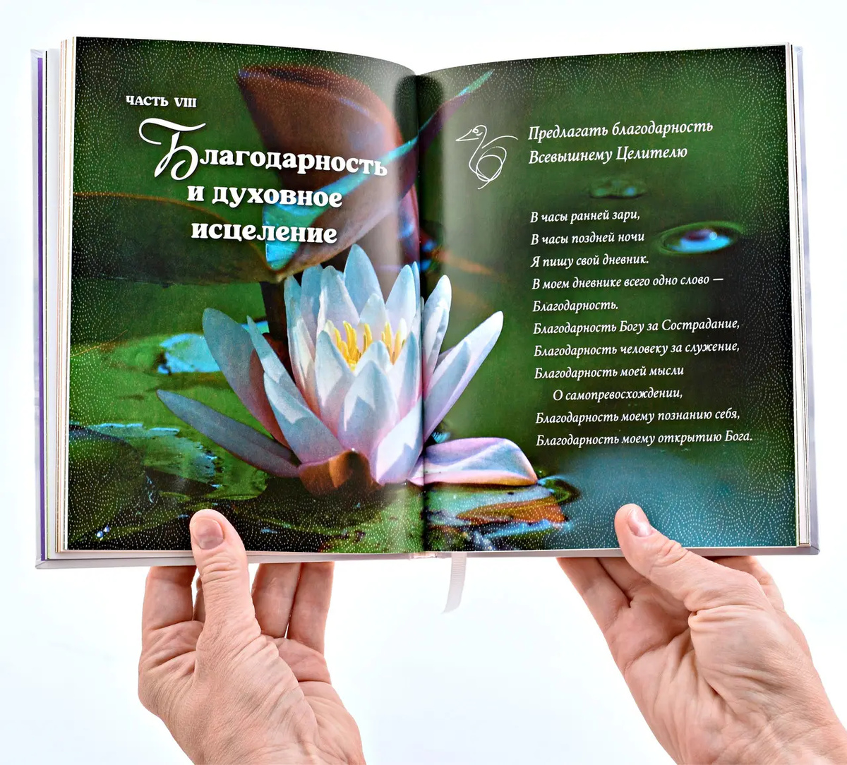 Шрі Чинмой. Вдячність.