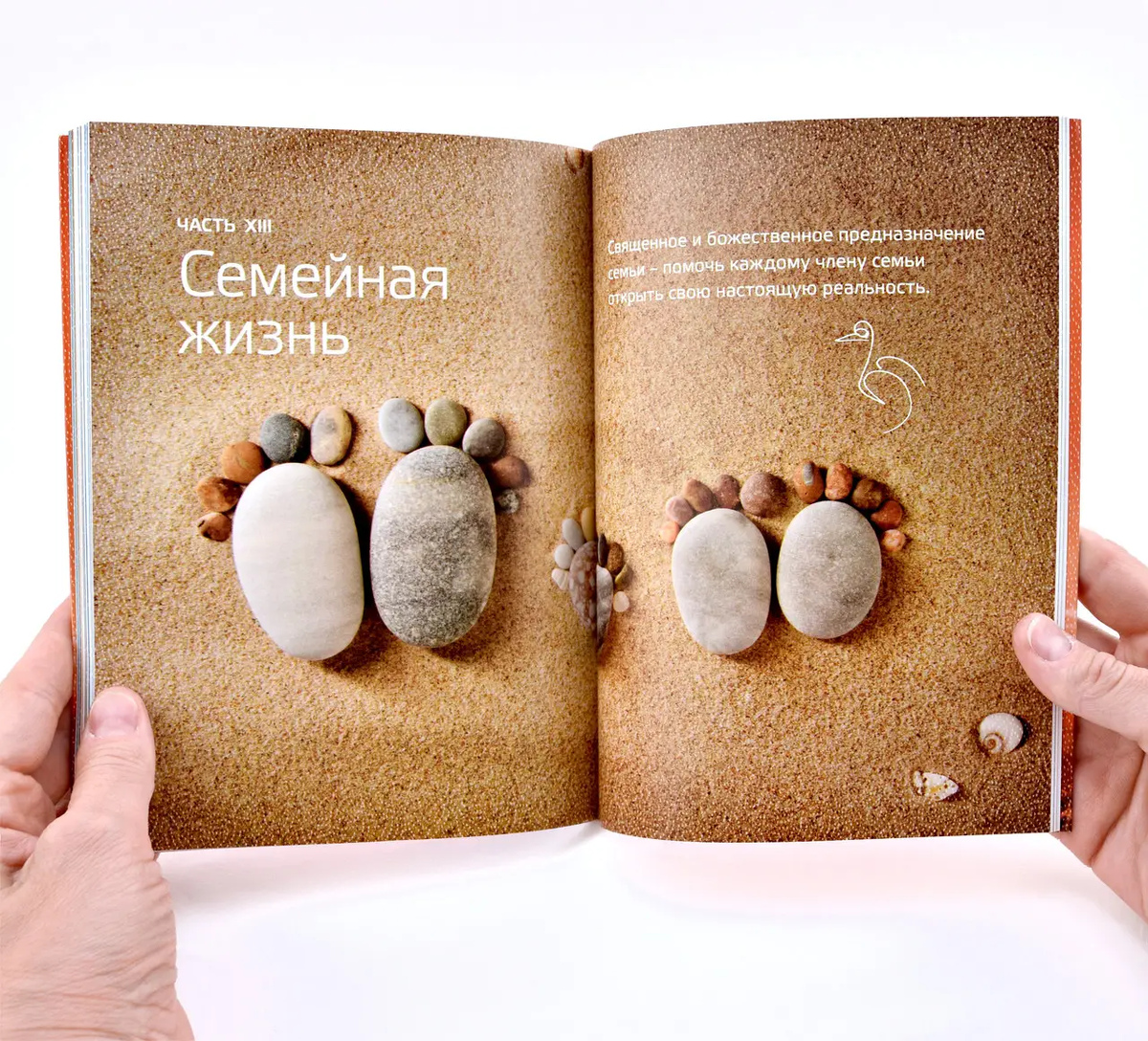 Книга Пригода життя. Про йогу, медитацію і мистецтво жити. Шрі Чинмой
