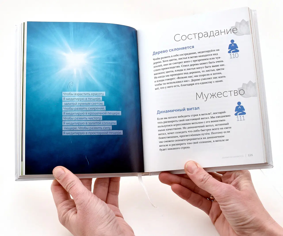 Книга 222 техніки медитації. Автор Шрі Чинмой