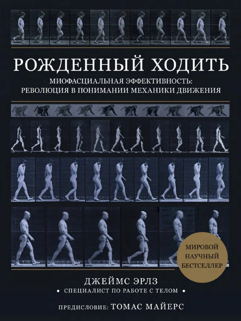 Народжений ходити. Міофасціальна активність. Революція у розумінні механіки руху. Ерлз Д. (великий формат)