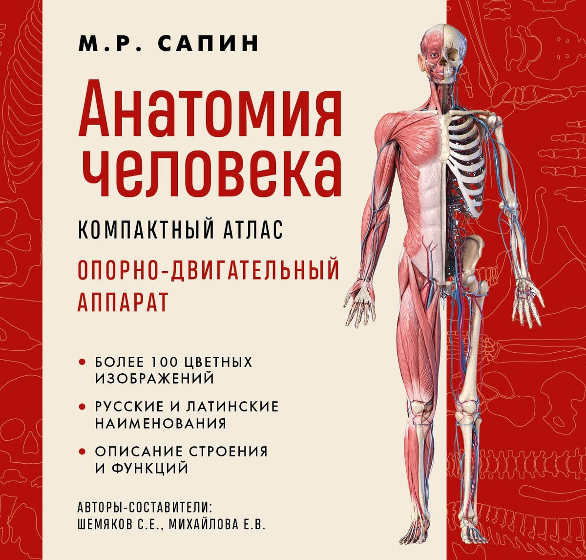 Анатомія людини. Компактний атлас. Опорно-руховий апарат. Сапін М. (великий формат)