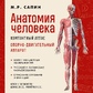 Анатомія людини. Компактний атлас. Опорно-руховий апарат. Сапін М. (великий формат)