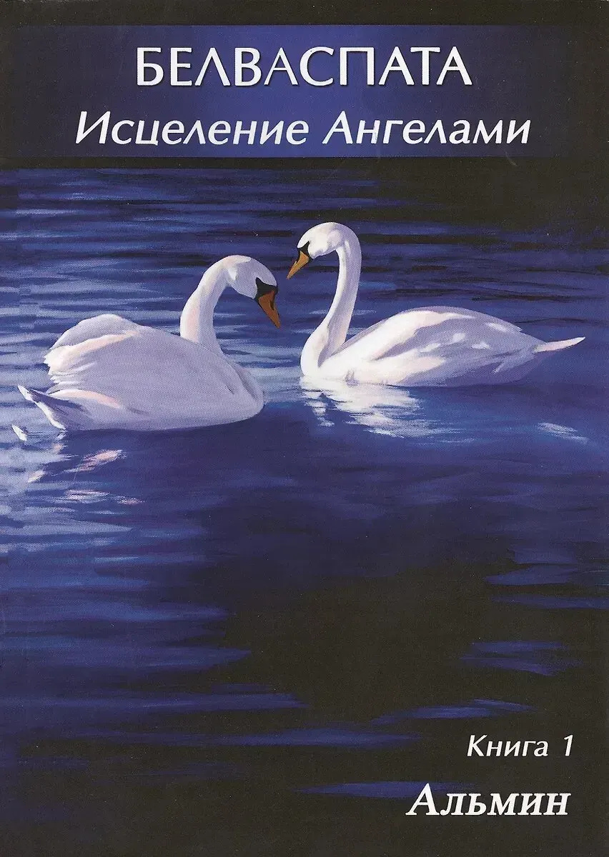 Білваспату. Лікування ангелами. Книга 1 Альмін
