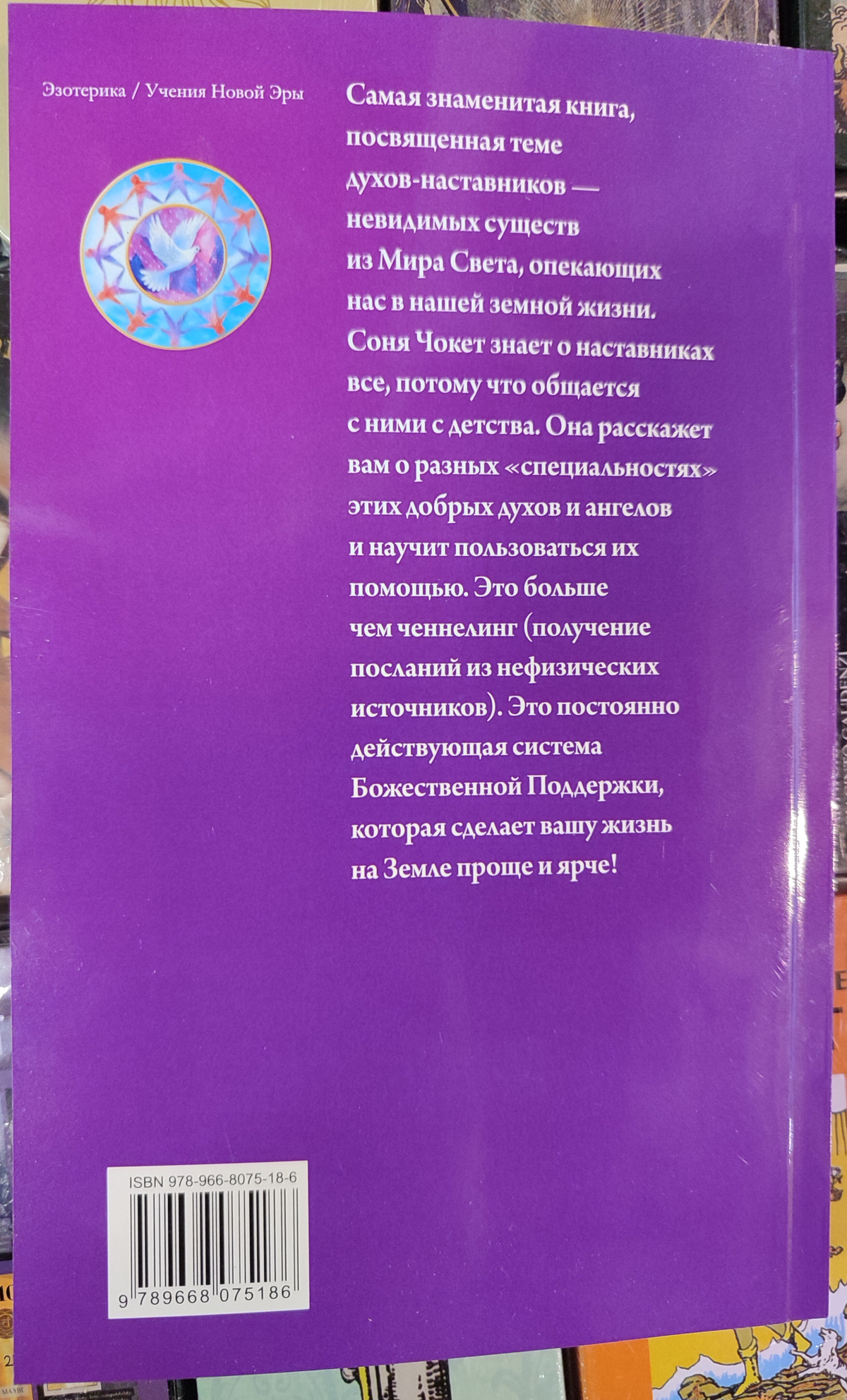 Запитай своїх наставників. Чокет Соня