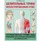 Цілющі точки. Ілюстрований атлас. Васічкін В. великий формат.