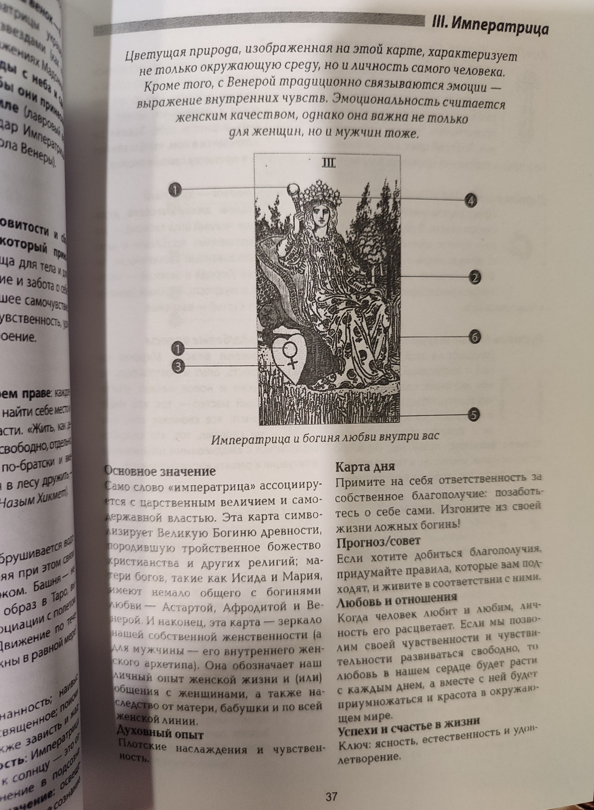 Книга Таро Уейта. Символіка під мікроскопом. Фібіг Йоханнес, Бюргер Евелін.