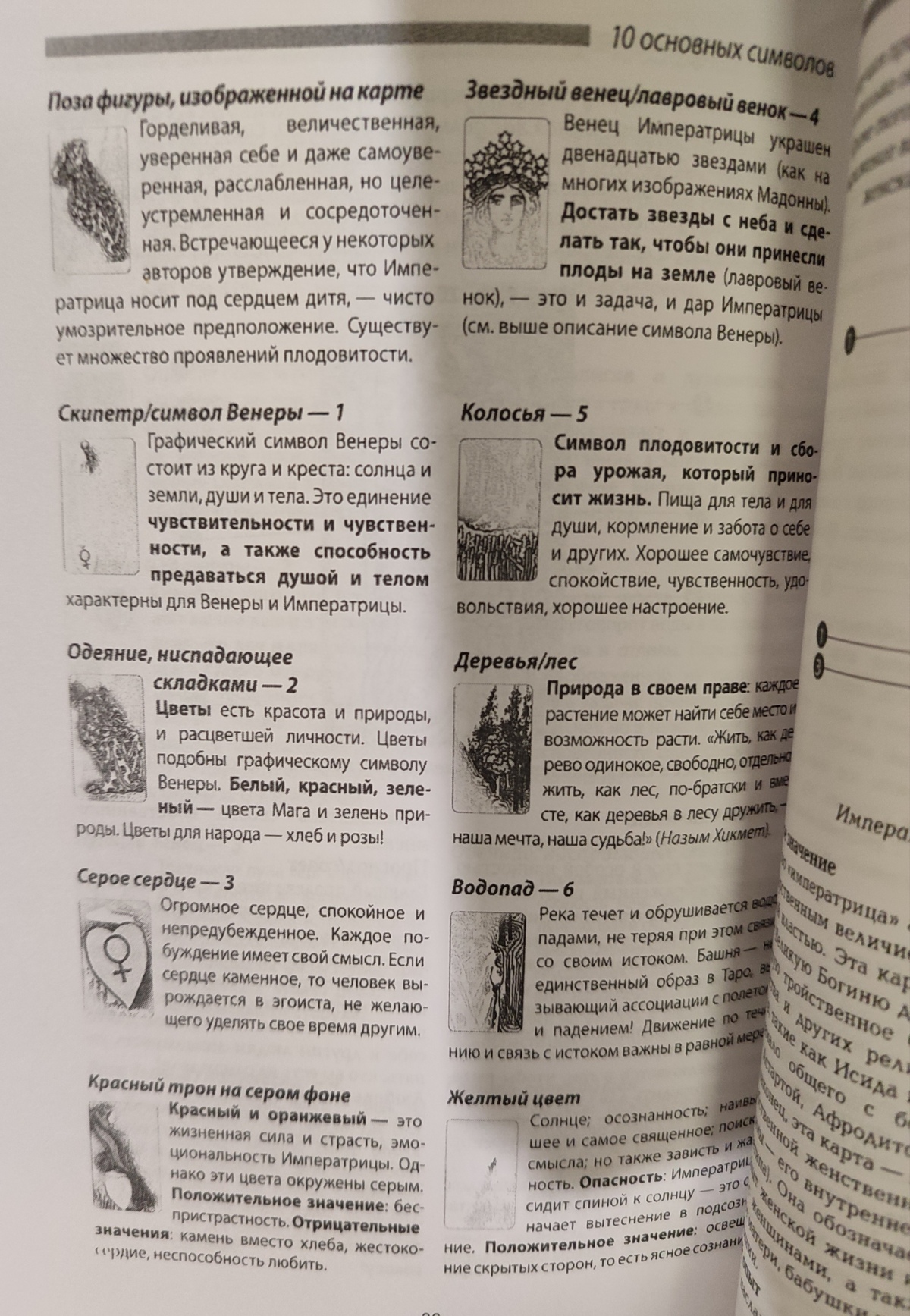 Книга Таро Уейта. Символіка під мікроскопом. Фібіг Йоханнес, Бюргер Евелін.