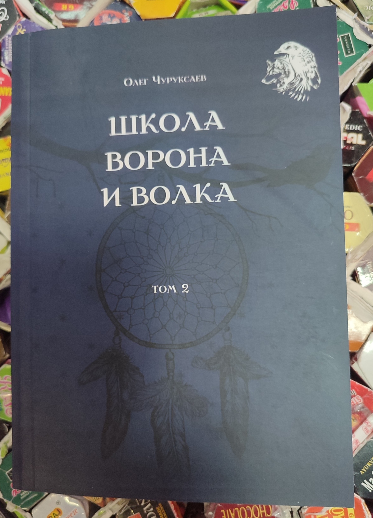 Школа Ворона та Вовка. Том 2. Чуруксаєв О.