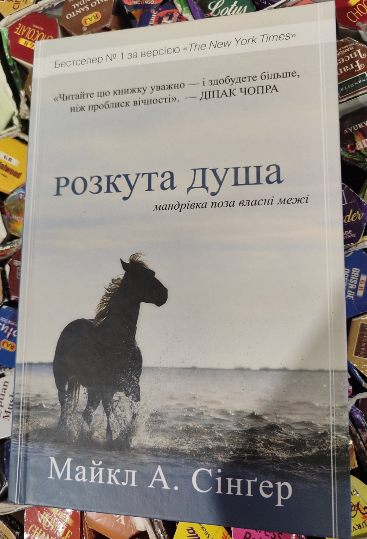 Розкута душа. Мандрівка поза власні межі. Майкл А. Сингер українською.