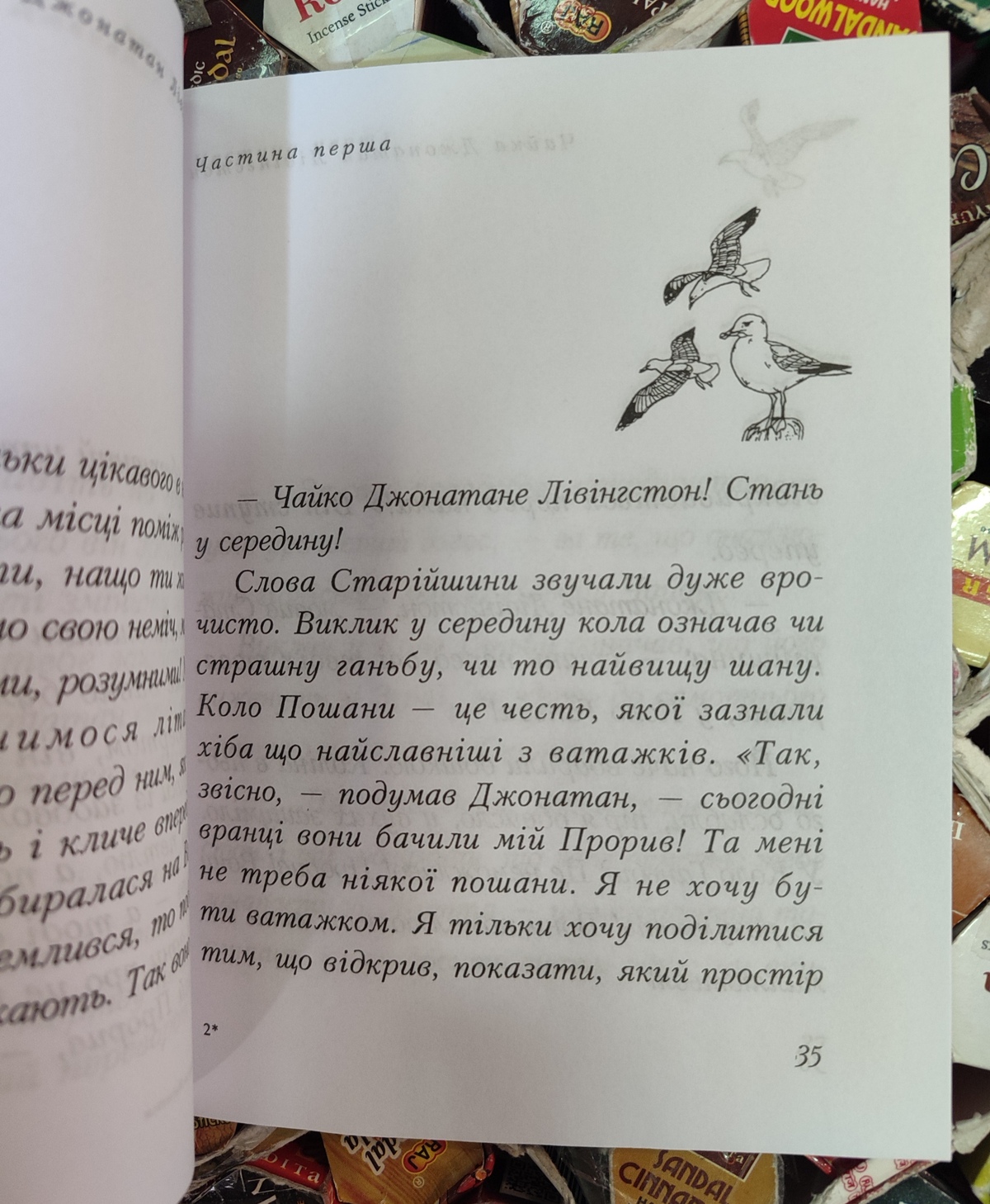 Чайка Джонатан Лівінгстон. Річард Бах українською