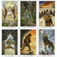 Таро Дикого Лісу. The Wild Wood Tarot. 78 карт. Карти Таро