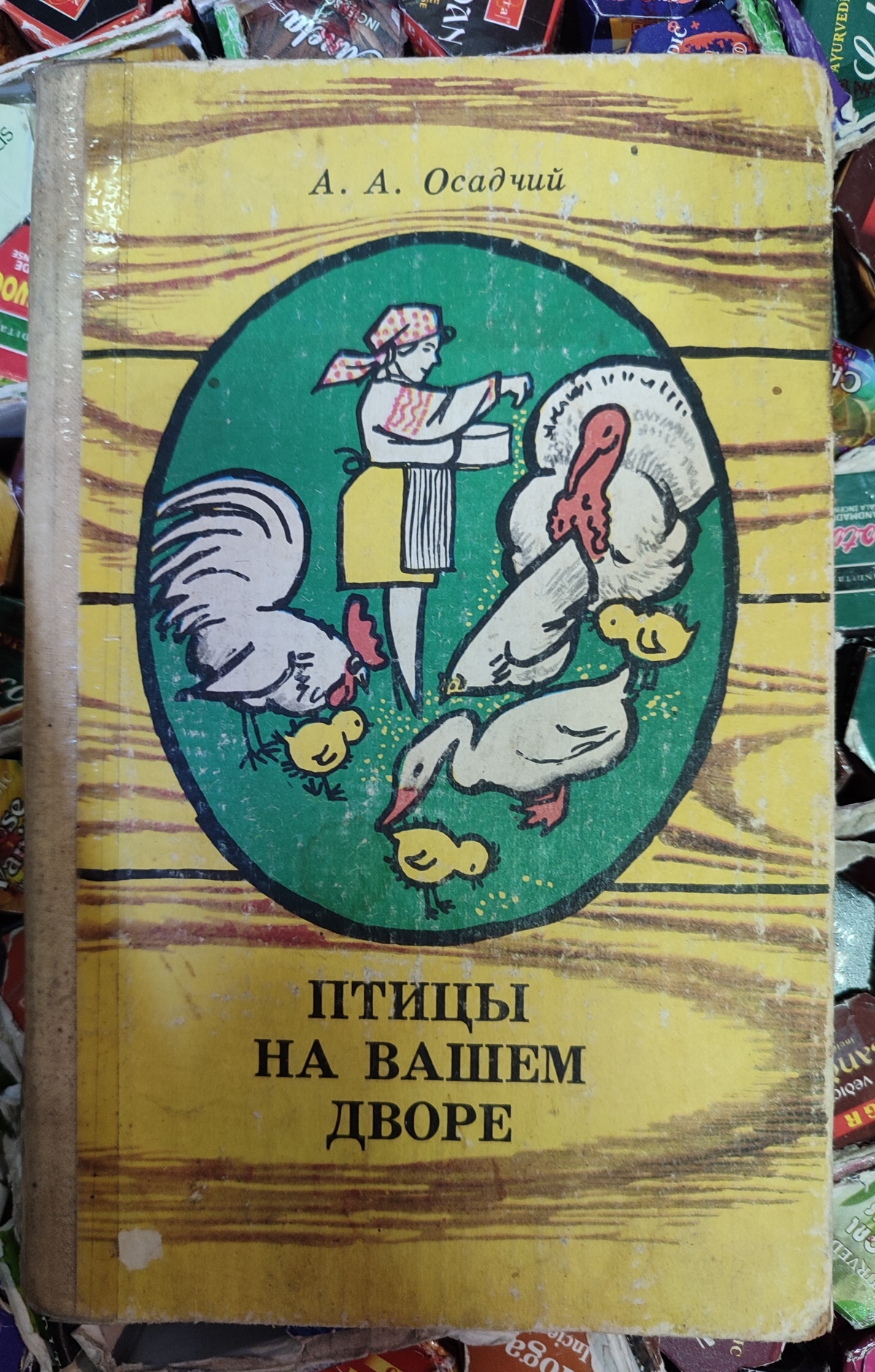 Птахи на вашому подвір'ї. А. А. Осадчий