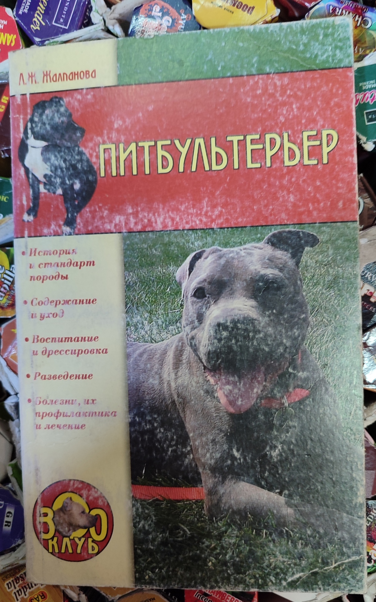 Пітбультер'єр. Жалпанова Л.Ж.