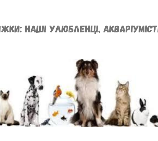 Наші улюбленці, Акваріумістика