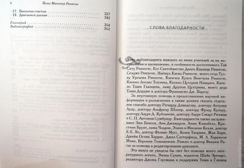 Будда, мозок і нейрофізіологія щастя. Як змінити життя на краще. Йонге Миг'юр Рінче.