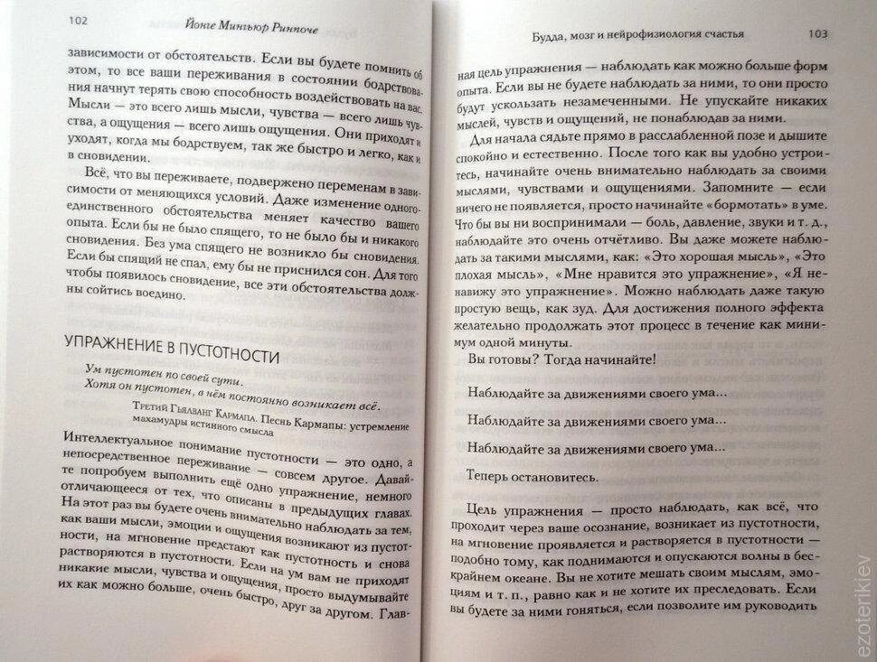 Будда, мозок і нейрофізіологія щастя. Як змінити життя на краще. Йонге Миг'юр Рінче.