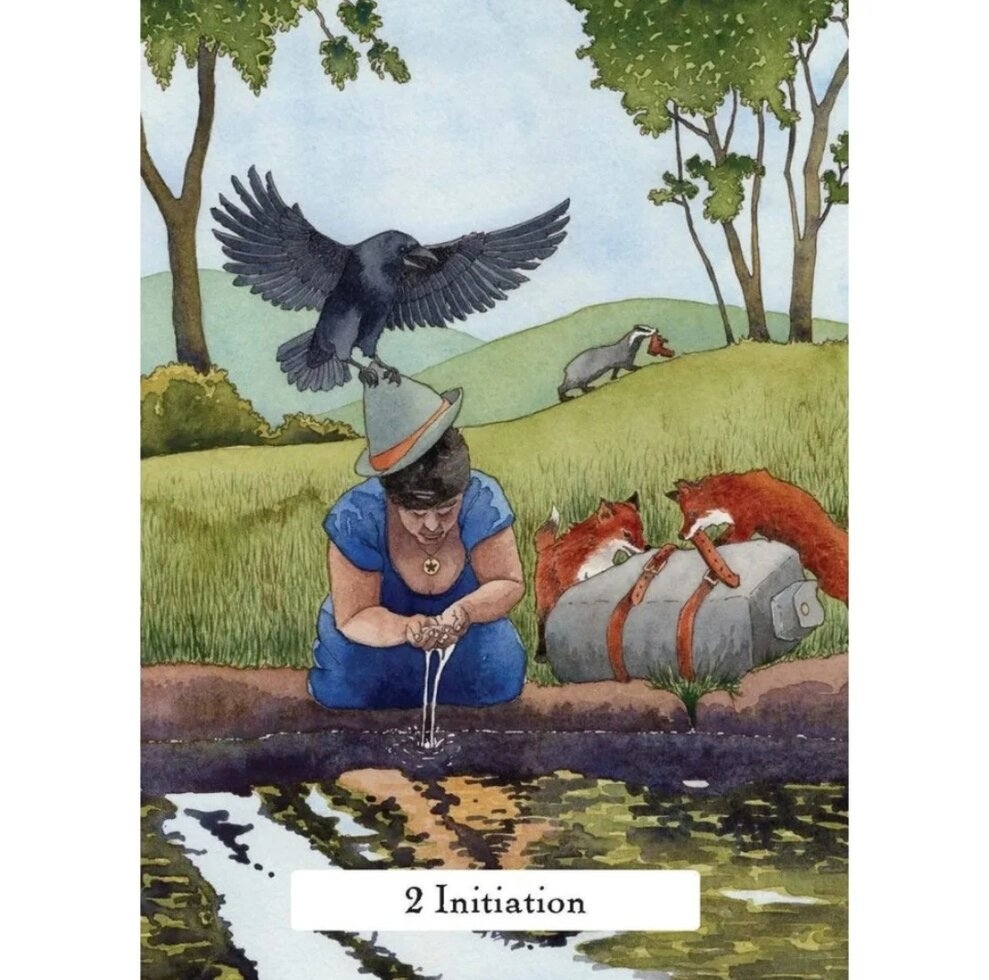 Мудрість відьом таро на 78 карт 10.5 х 6 см The Witches Wisdom tarot. Карти Таро.