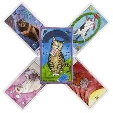 Таро Котів. 78 карт 10,5 х 6 см Меган Лут Котт Cat Tarot Карти Таро