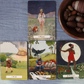 Мудрість відьом таро на 78 карт 10.5 х 6 см The Witches Wisdom tarot. Карти Таро.