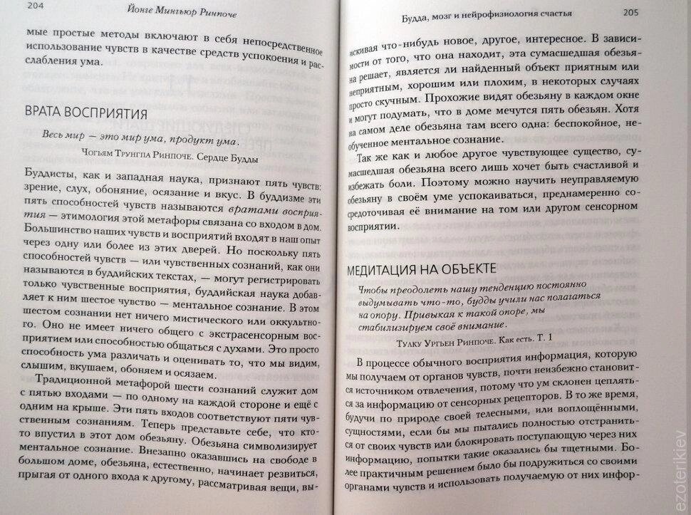 Будда, мозок і нейрофізіологія щастя. Як змінити життя на краще. Йонге Миг'юр Рінче.