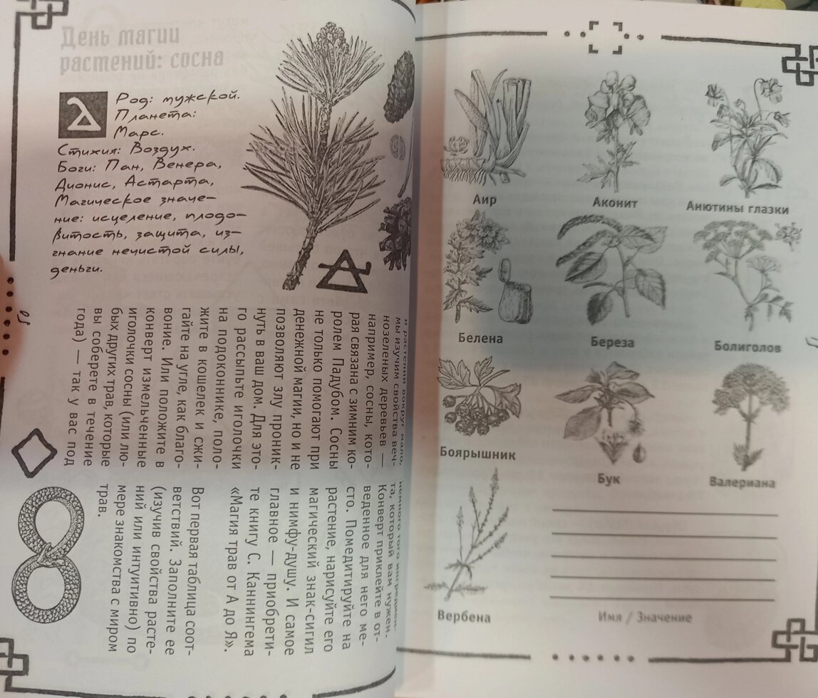 Вікка: Книга тіней. Арабо Саргсян