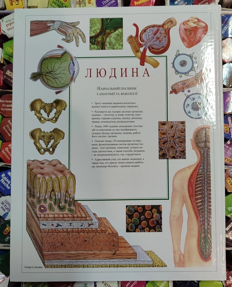 Людина. Навчальний посібник з анатомії та фізіології.