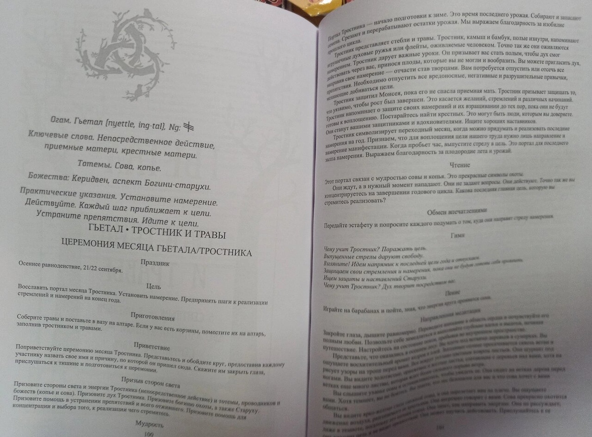 Кельтські ритуали з деревами: церемонії для трінадцяти місячних місяців і одного дня. Шаолі Ідальго
