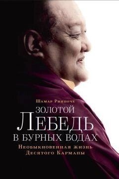 Золотий лебідь у бурхливих водах. Незвичайне життя Десятого Кармапи. Рінпоче Шамар.