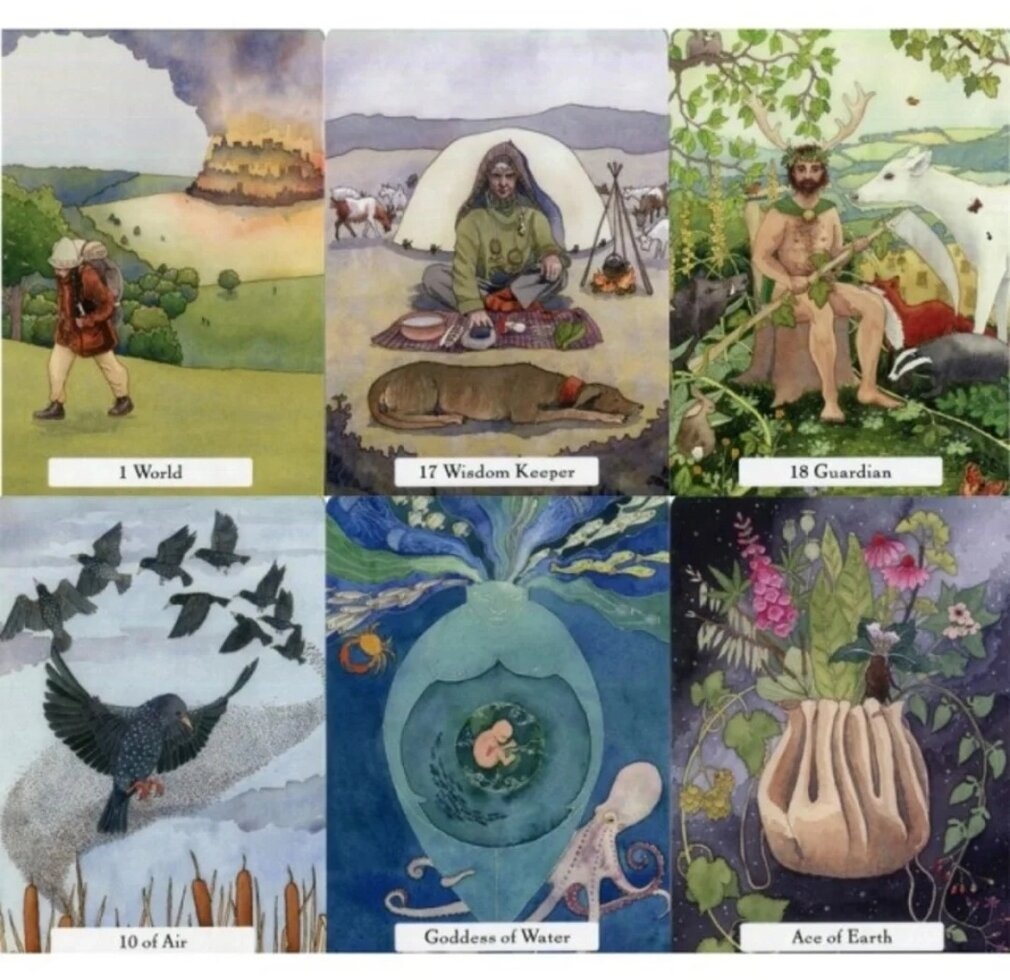 Мудрість відьом таро на 78 карт 10.5 х 6 см The Witches Wisdom tarot. Карти Таро.
