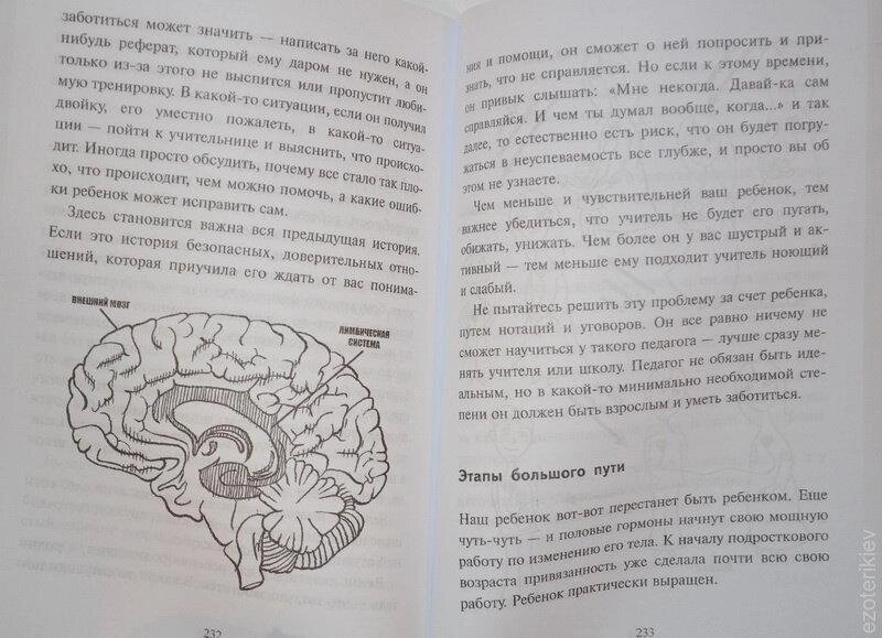 Таємна опора: прихильність у житті дитини. Людмила Петрановська.