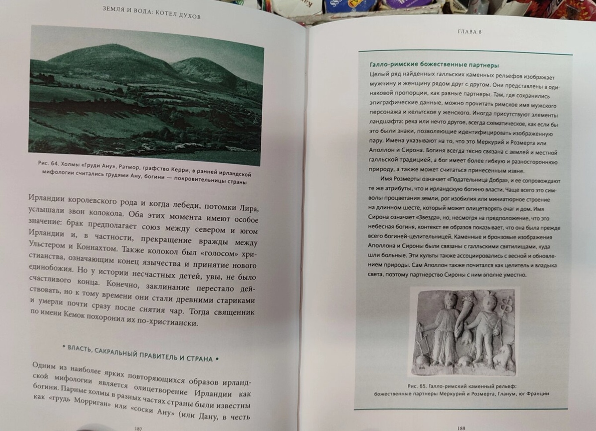 Кельтські міфи. Від короля Артура та Дейрдре до фейрі та друїдів. Міранда Олдхаус-Грін