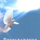 Перетворення. Balandis