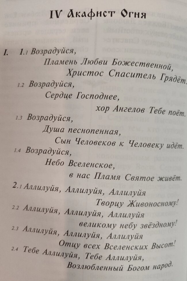 Вогняна Біблія. З. Душкова