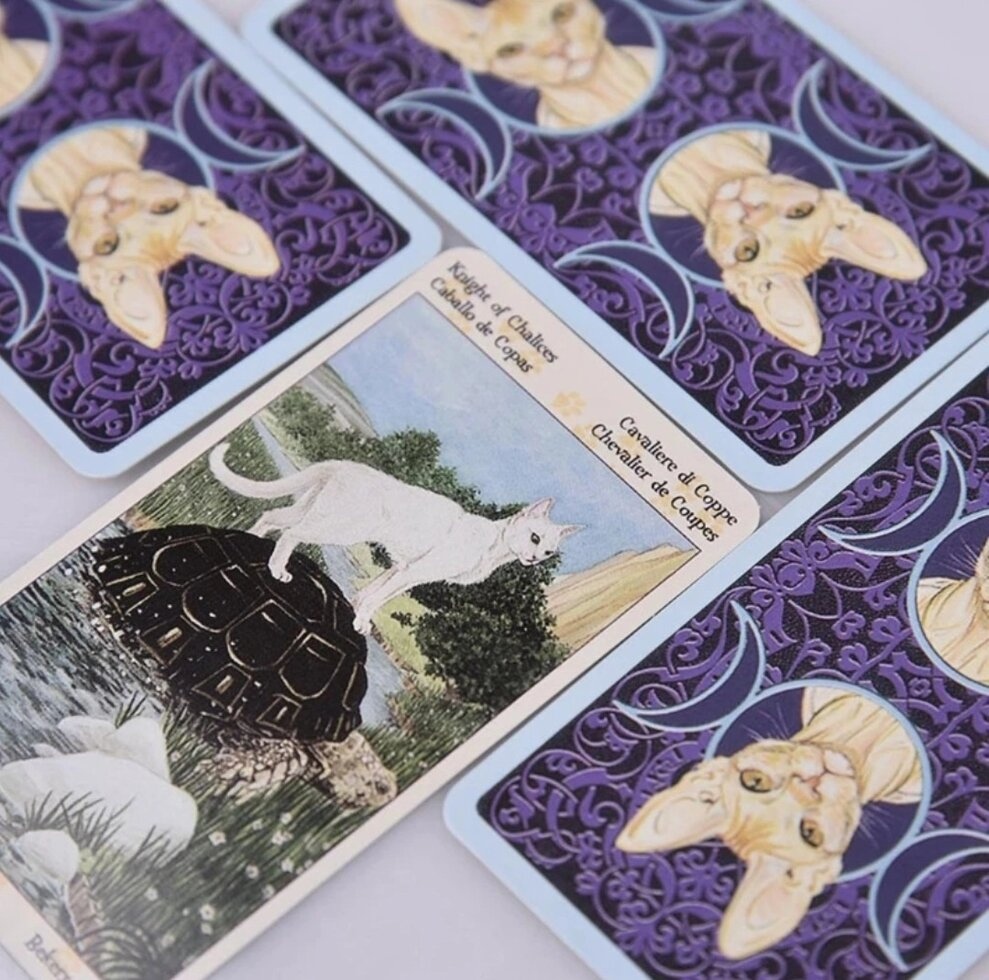 Таро Язичних котів міні колода на 78 карт 8 х 4,5 см Tarot of Pagan Cats. Карти Таро.