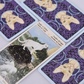 Таро Язичних котів міні колода на 78 карт 8 х 4,5 см Tarot of Pagan Cats. Карти Таро.