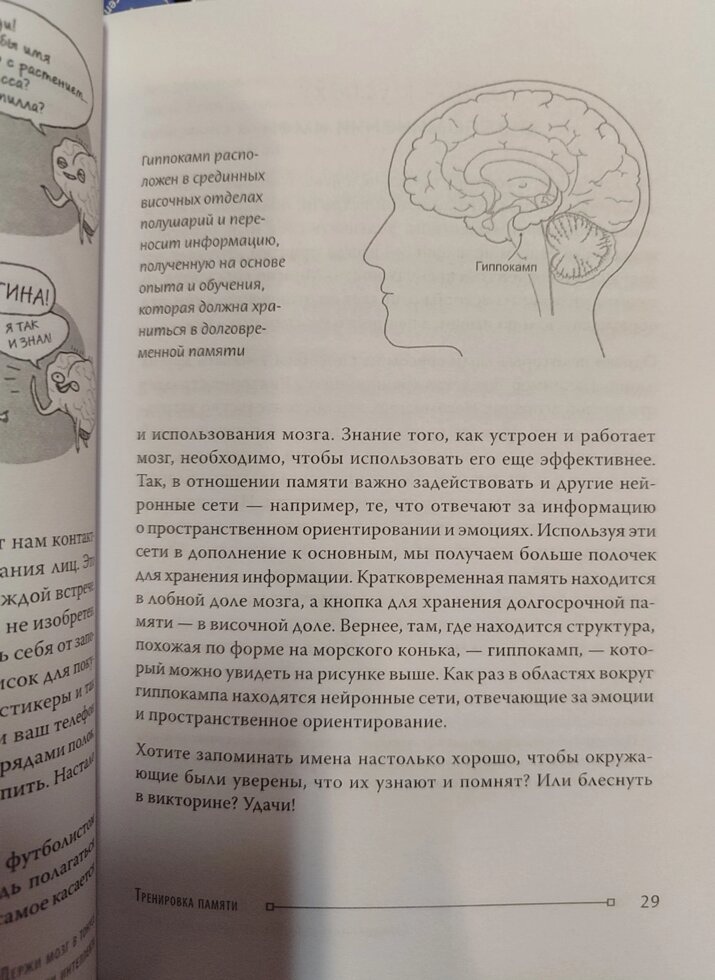Тримай мозок у тонусі Кайя Норденген