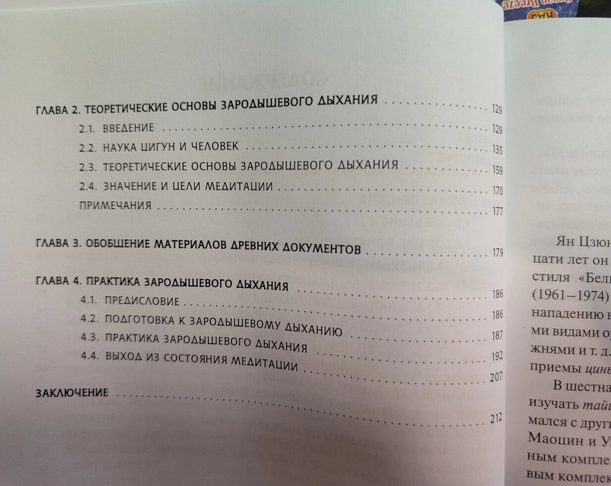 Цигун медитація. Зародкове дихання. Ян Цзюньмін