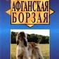 Міллер Гілберт АФГАНСЬКА БОРЗА